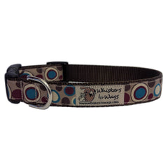 Funky Dots Dog Collars